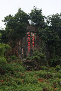 鷹嘴桃