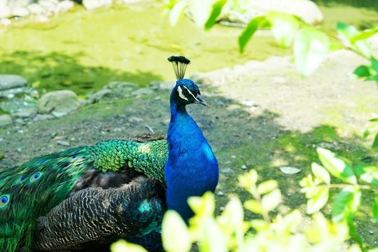 貴陽黔靈山公園