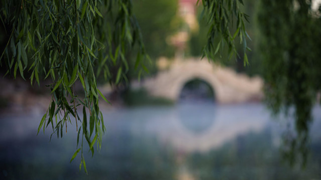 清華大學(xué)近春園荷花池晨霧中的小
