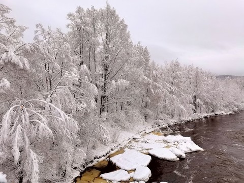 春天的雪掛