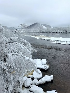 春天的雪掛
