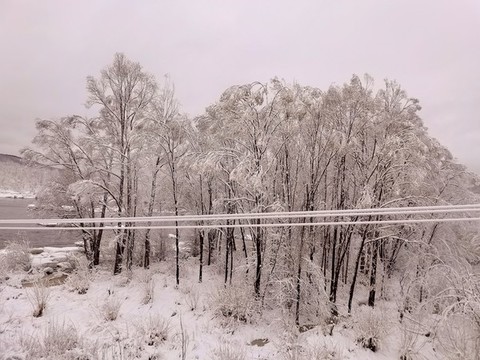 春天的雪掛