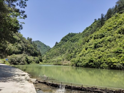 湖泊與綠植