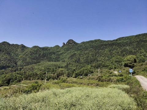 青山