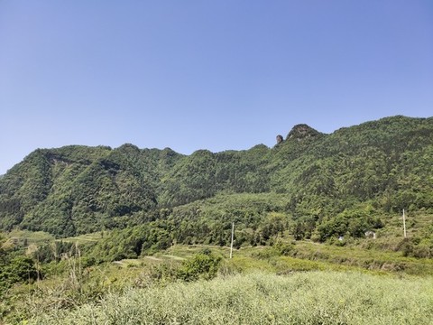 綠水青山