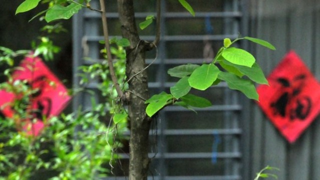 春臨福家