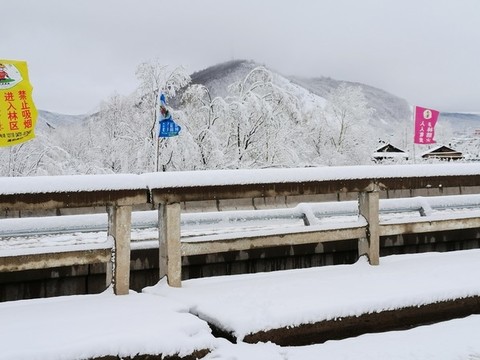春天的雪掛
