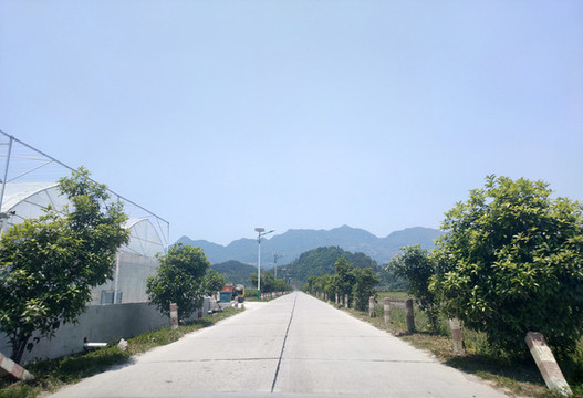 道路