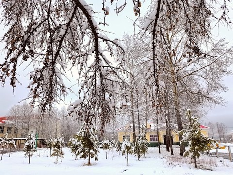 春天的雪掛