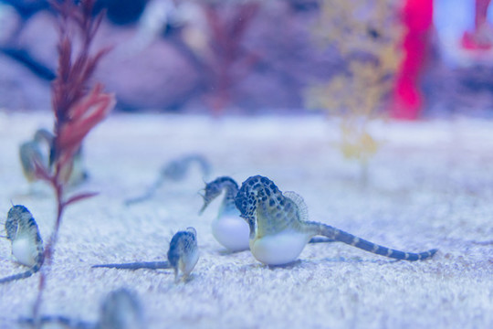 水族館