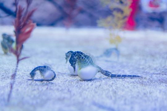 水族館