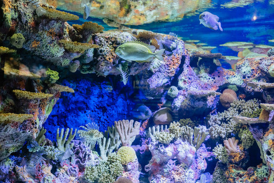 水族館