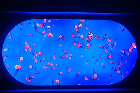 水族館