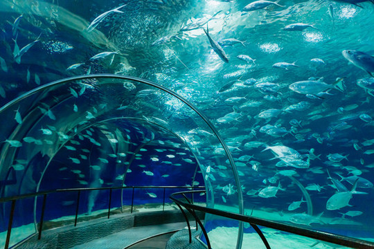 水族館