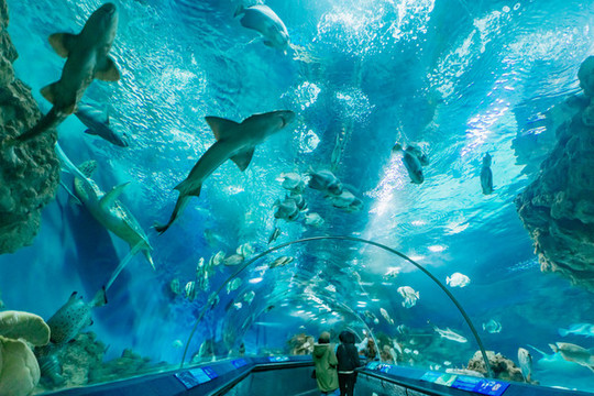 水族館