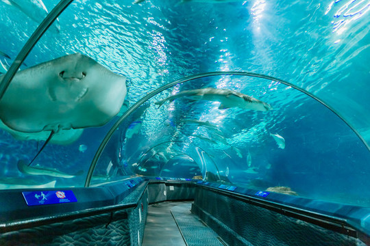 水族館