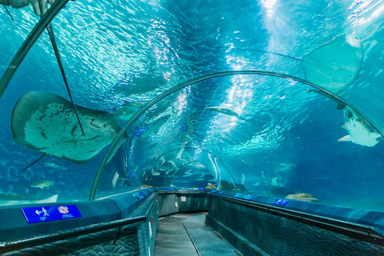 水族館