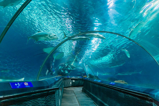水族館