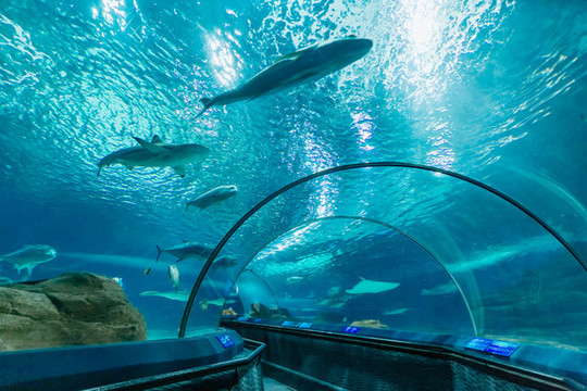 水族館