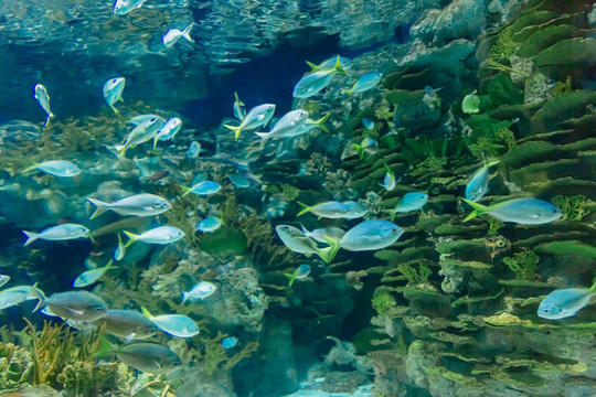 水族館