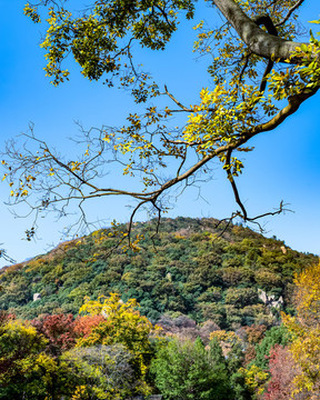 蘇州天平山秋色景觀