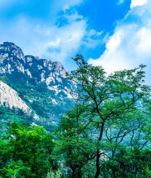 山東泰山風(fēng)景區(qū)