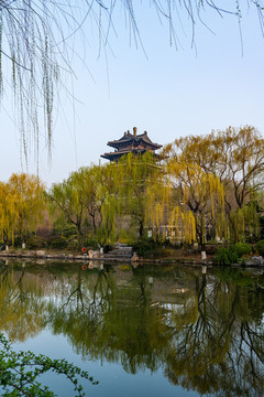 山東濟(jì)南大明湖春天