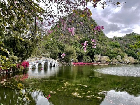 肇慶星湖美景