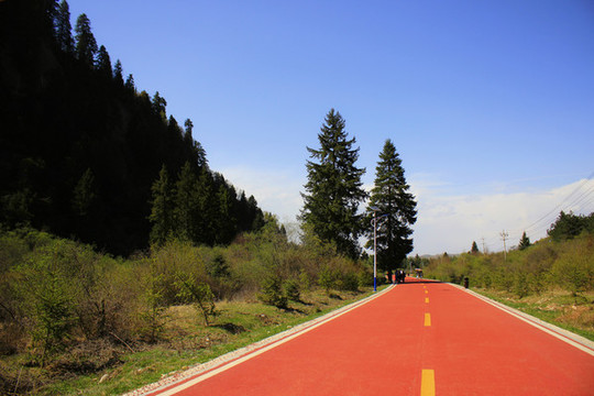 林間小路