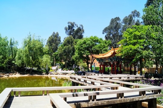曲靖天池公園