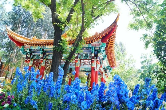 曲靖天池公園