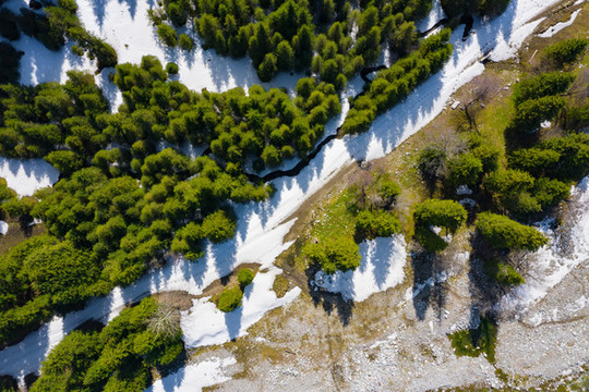 高山雪原