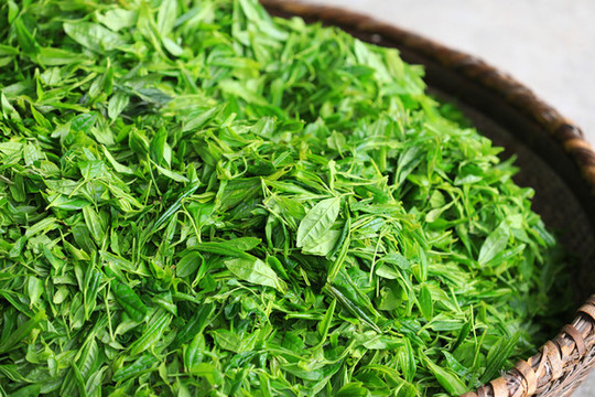 茶葉