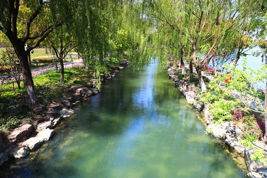 水生態(tài)