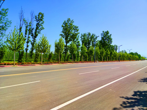 公路綠化