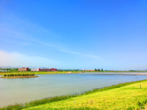 濱河濕地公園綠地