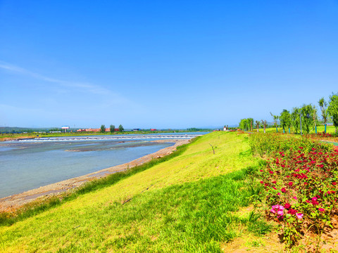 河道綠化帶