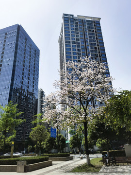 城市建筑