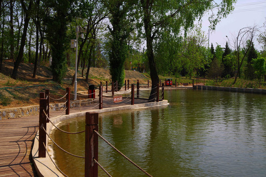 豐臺(tái)王佐怪村西廬公園油菜花海