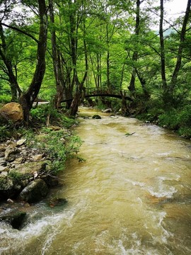 山中小河