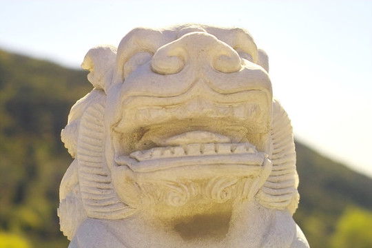 太山的石獅子