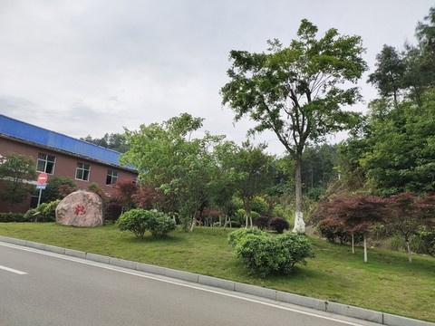 公園