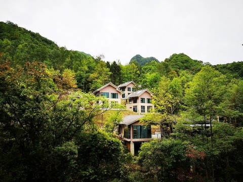 山中別墅