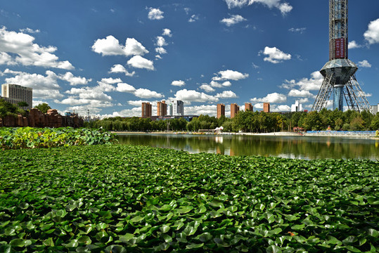 河北省石家莊市裕華區(qū)世紀(jì)公園