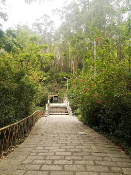公園道路