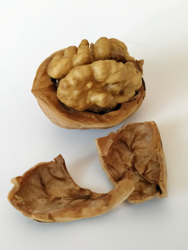 紙殼核桃