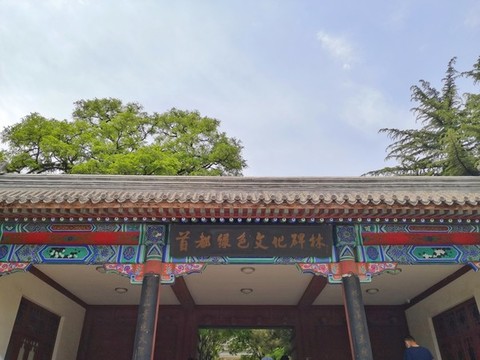 百望山