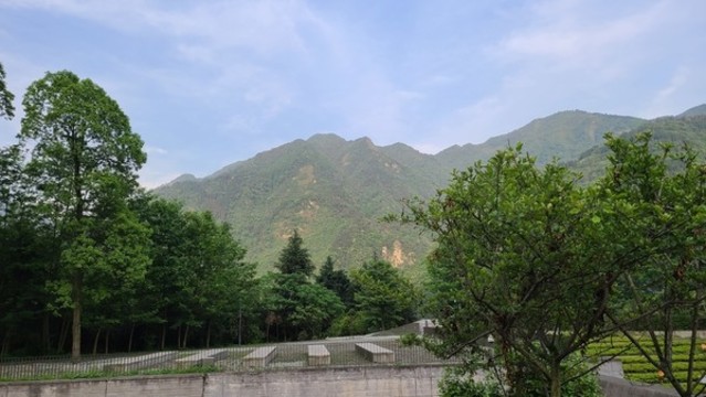 高山群山綠植