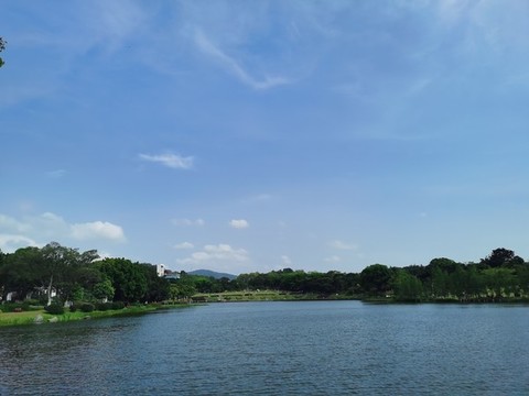 池塘湖泊美景