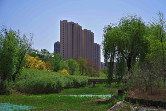 大興永興河濕地公園